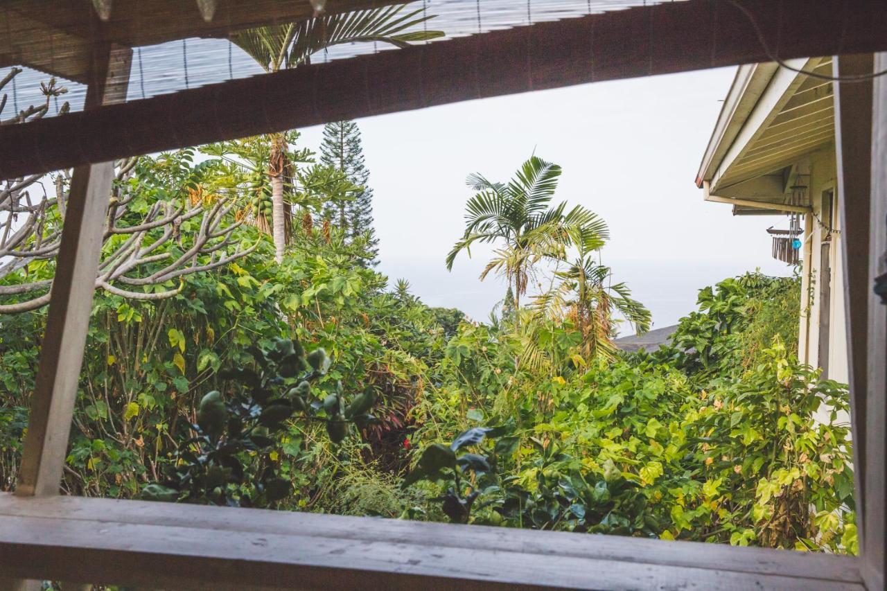 Simple Kona Guest House Keauhou Extérieur photo