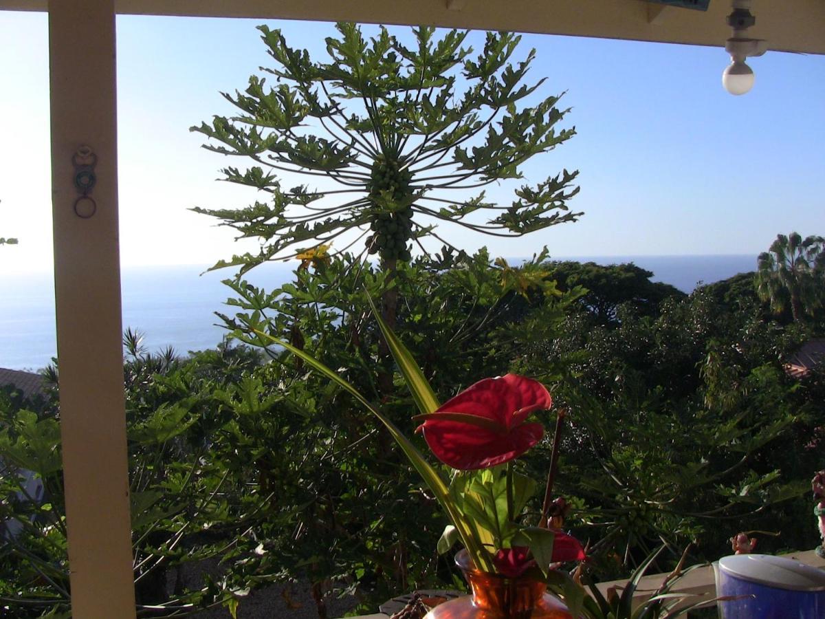 Simple Kona Guest House Keauhou Extérieur photo