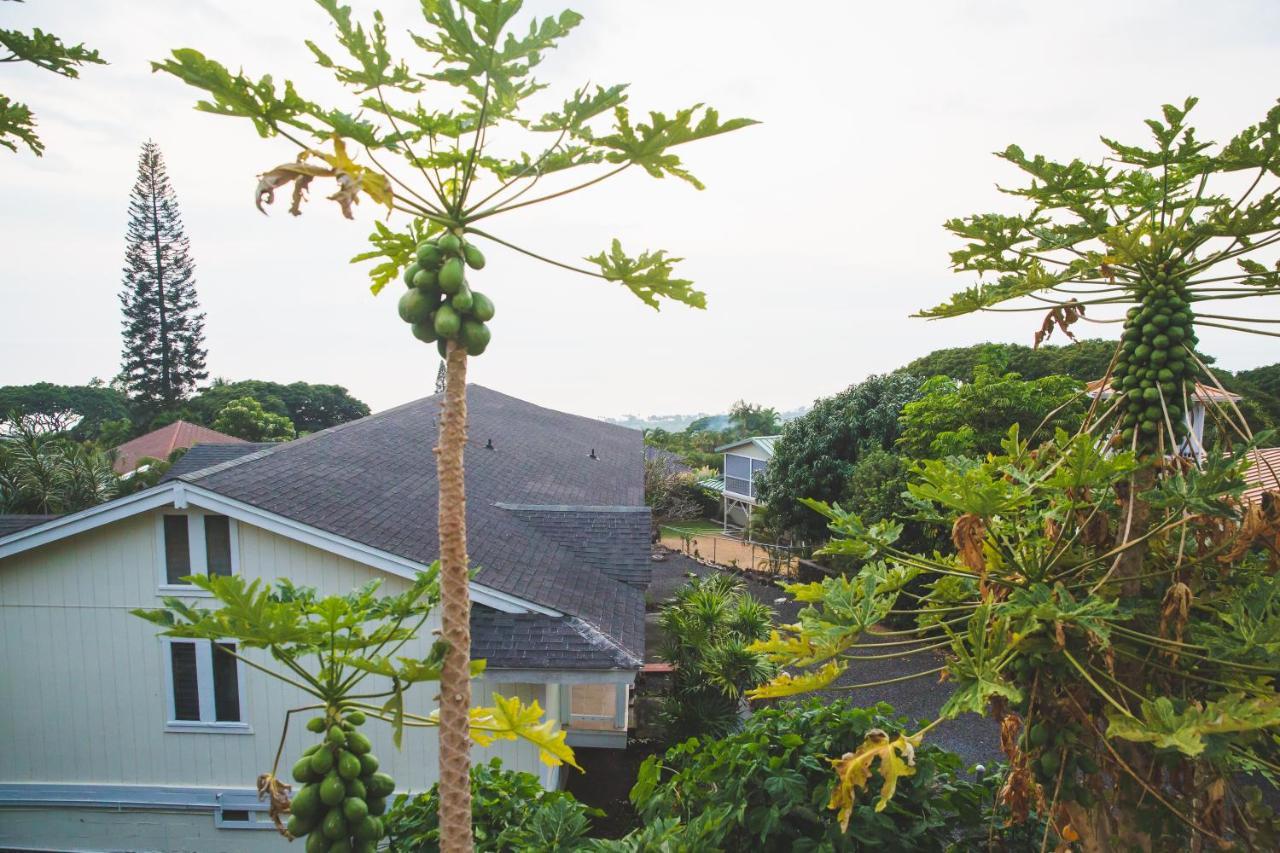 Simple Kona Guest House Keauhou Extérieur photo