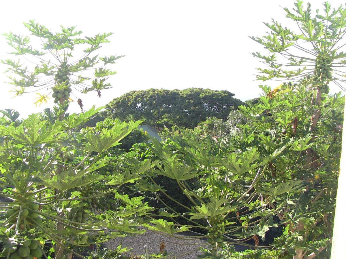 Simple Kona Guest House Keauhou Extérieur photo