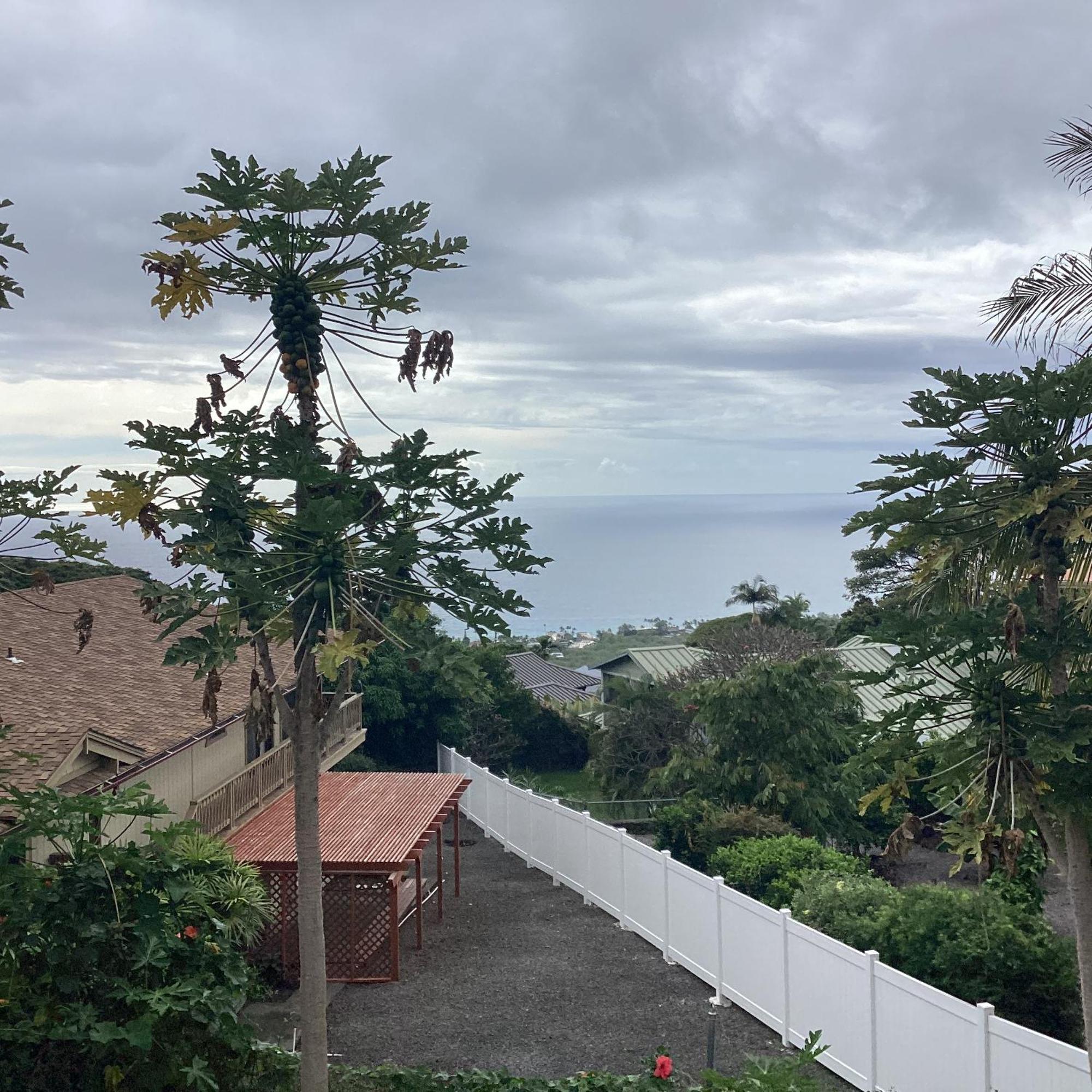 Simple Kona Guest House Keauhou Extérieur photo